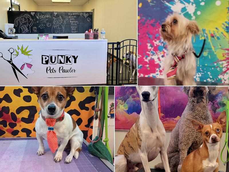 Punky Pets Pawlor LLC
