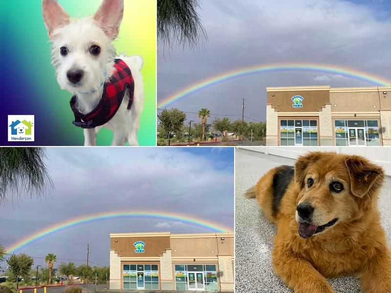 Hounds Town Henderson