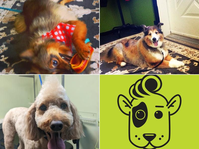 Beautiful Barkers Grooming