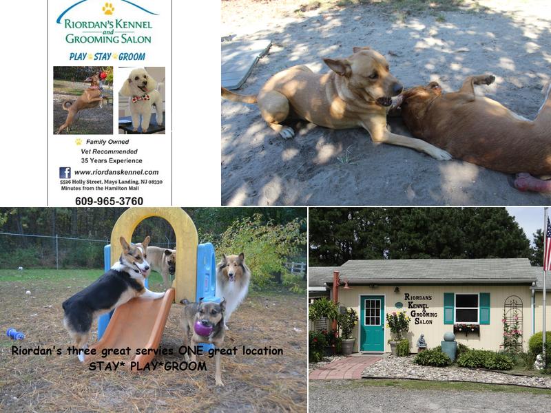 Riordan's Kennels & Grooming Salon