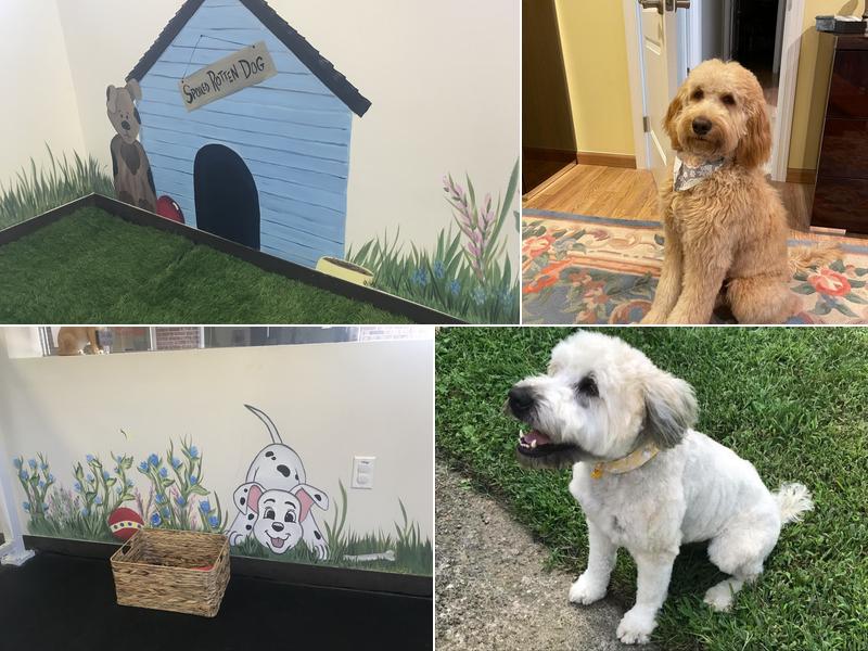 Leash N' Lather Dog Grooming