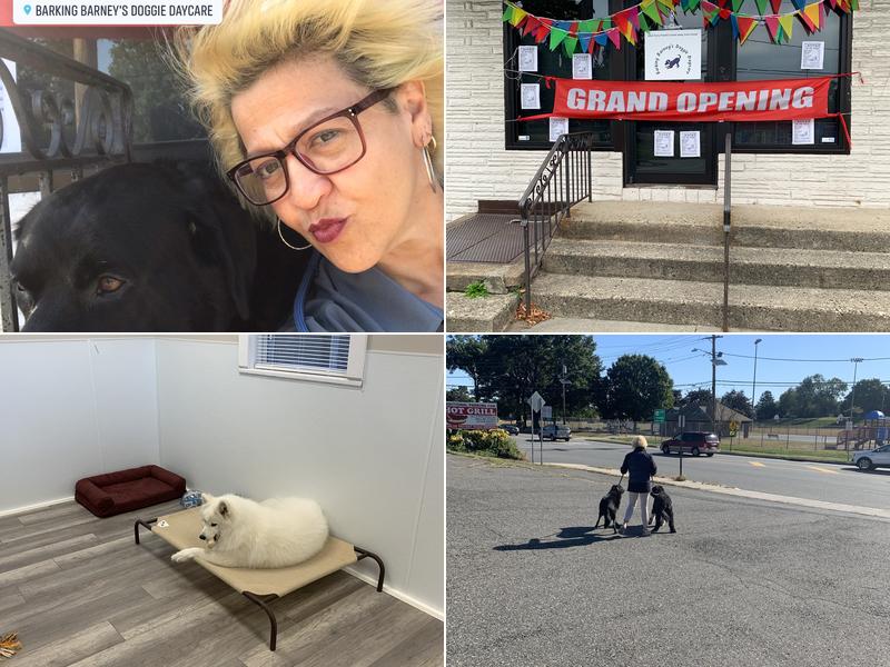 Barking Barney's Doggie Daycare