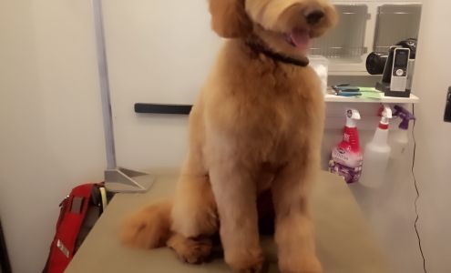 Lucky Paws Pet Grooming 215 E 26th St, New York New York 10010