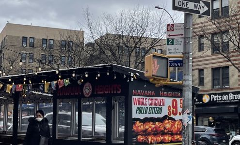 Pets on Broadway NYC 2