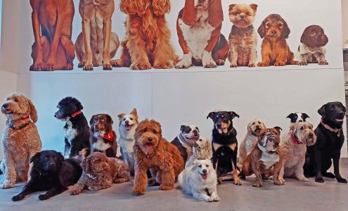 Dog City NYC (Chelsea)