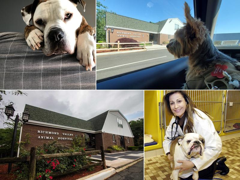 Richmond Valley Veterinary Practice