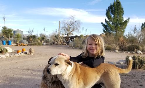 Sunshine Grooming 1755 Domingo Rd SW, Deming New Mexico 88030