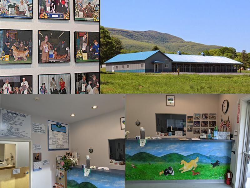 Catskill Mountain Bed N Biscuit