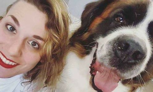 Dirty Dog, Inc 42 Park Pl, Saratoga Springs New York 12866