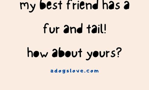 Grooming By Marie 6 Canal St, Fort Plain New York 13339