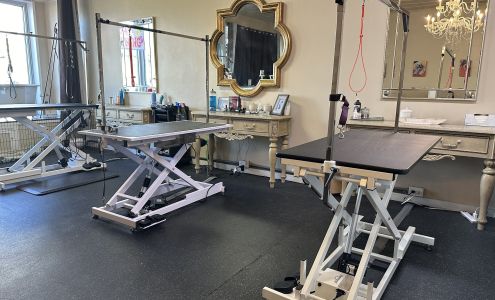 A Bark Bath & Beyond