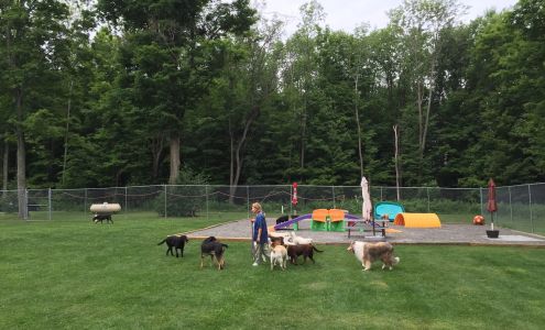 Bed and Biscuit of Ithaca - Country Club for Dogs and Cats