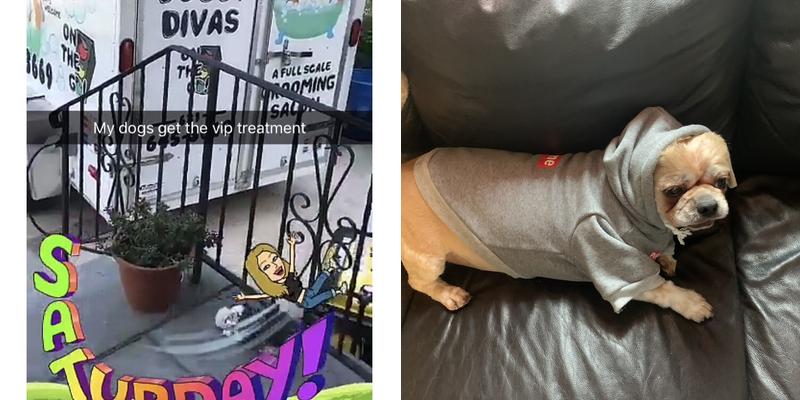 Doggy Divas on the Go