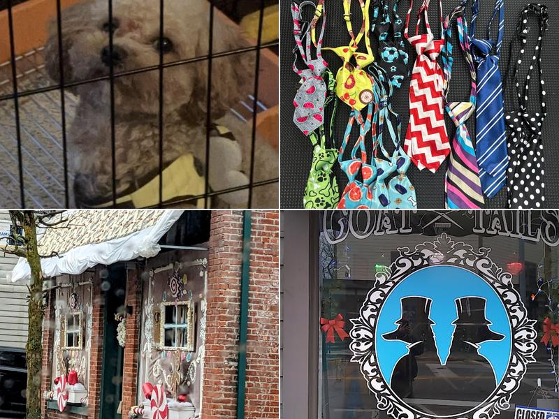 Coat Tails Pet Grooming