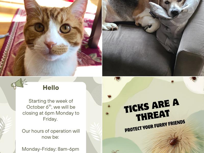 McEwen-Frontenac Animal Hospital