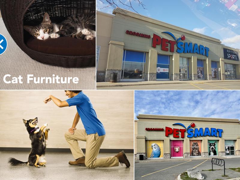 PetSmart