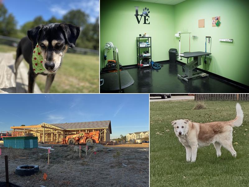 Wags to Riches Grooming, LLC.