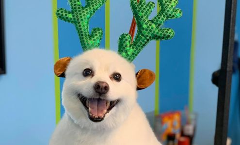 Bee's Beauty Pets 961 Oak Stump Rd # D, Elizabeth City North Carolina 27909