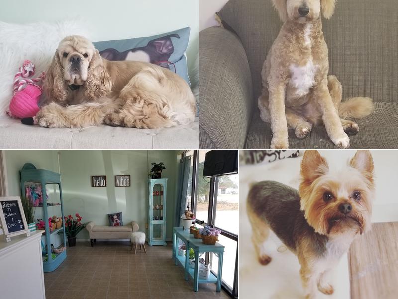 Bubbles & Bows Pet Salon