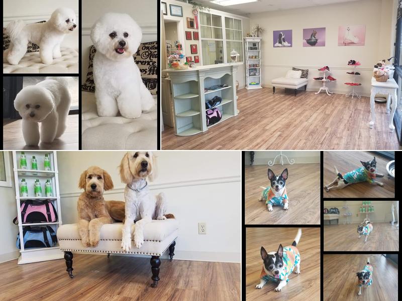 Bark Avenue Pet Salon