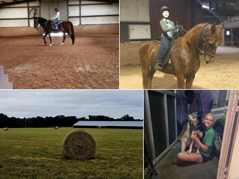 Scotland Saddlebreds Riding