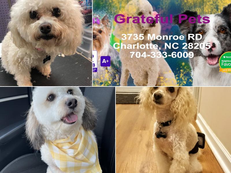 Grateful Pets Grooming & Boarding