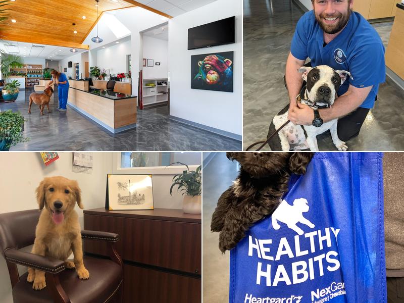 Aardvark Animal Hospital