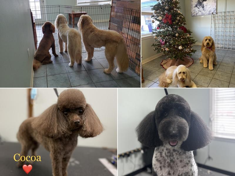 AC Grooming Salon, LLC