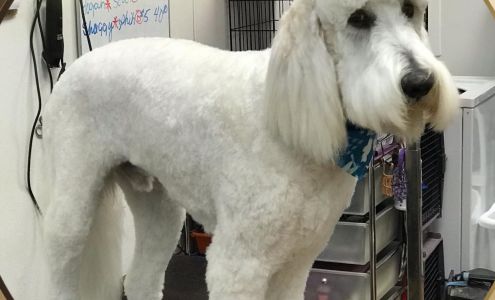 Blue Haven Pet Salon 1060 Lynnhaven Pkwy, Virginia Beach Virginia 23452