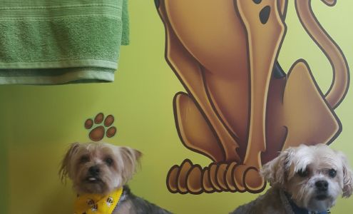 No Bones About It Dog Grooming LLC 4524 Bedell Rd, Berlin Center Ohio 44401