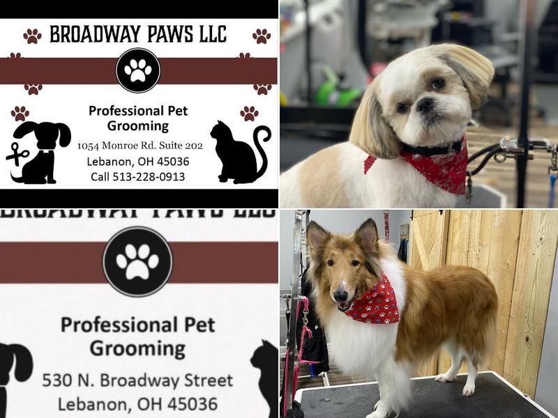 Broadway Paws