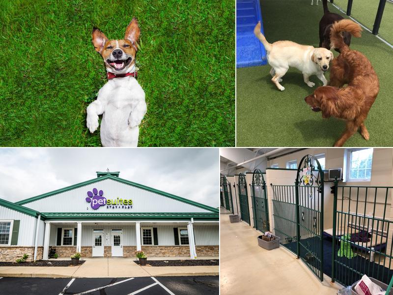 PetSuites Sharonville