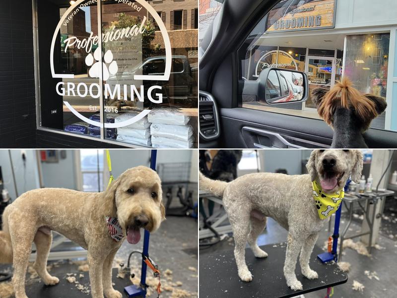 Professional Grooming