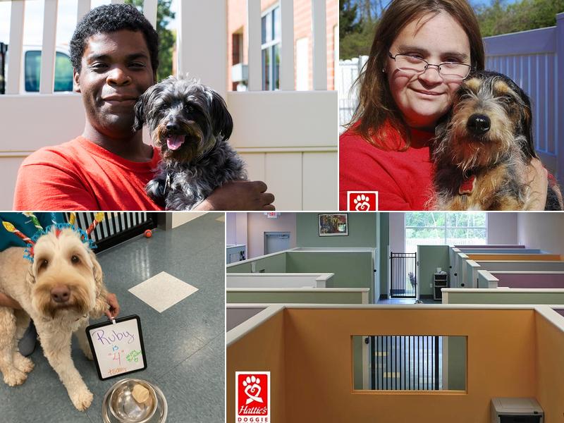 Hattie's Doggie Day Care & Boarding