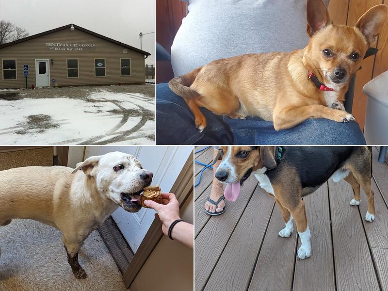 Troutman Kutz-N-Kennels