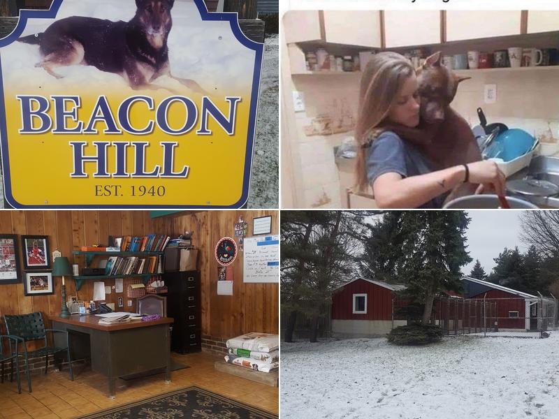 Beacon Hill Boarding Kennels