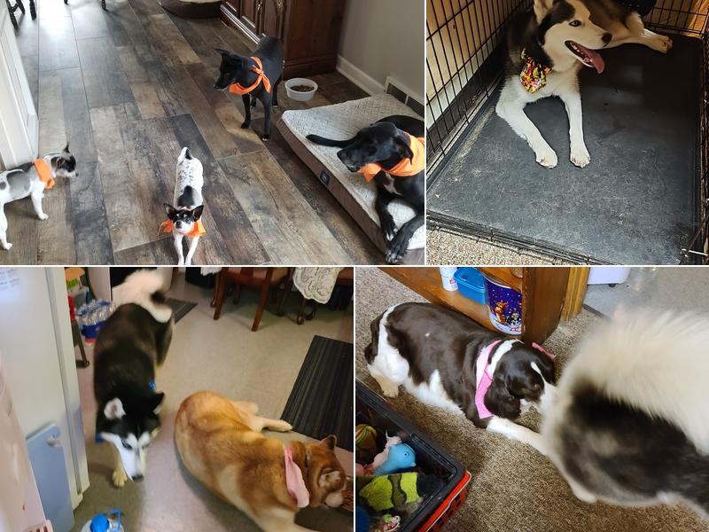 Magic Donkey Bed & Bath LLC