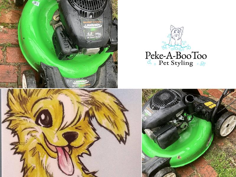 Peke-A-Boo Too Pet Styling