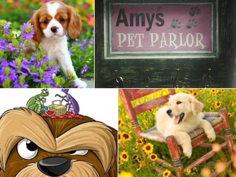 Amys Pet Parlor