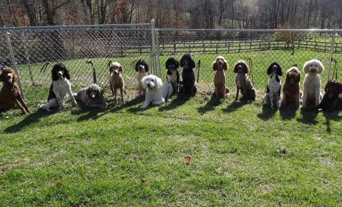 Yankee Doodles and Poodles 4951 Jefferson Ave, Avella Pennsylvania 15312