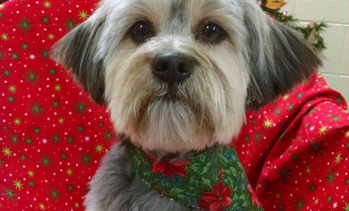 Creative Canine Inc. 1936 Hubbard Rd, Madison Ohio 44057