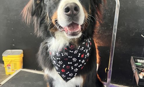 Ruff Grooming And Boarding LLC