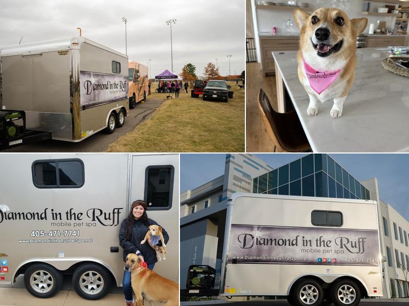 Diamond In The Ruff Mobile Pet Spa