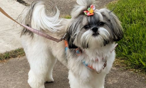 The Barking Lot 12837 E 41st St, Tulsa Oklahoma 74146