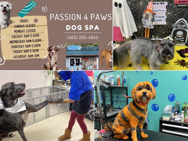Passion 4 Paws Dog Spa