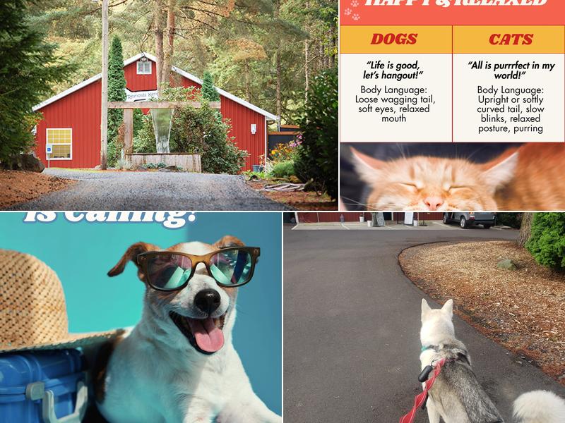 Reynolds Dog Resort & Training Center