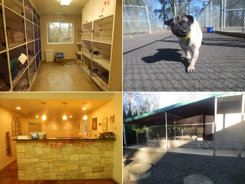 Tail Wag-Inn Boarding Kennel