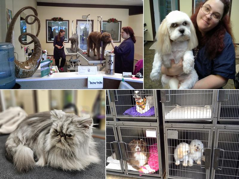 Pampered Paws Grooming LLC