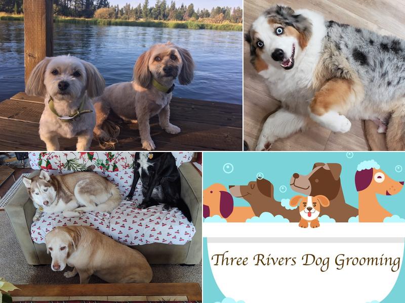 Three Rivers Dog Grooming