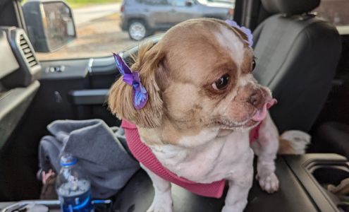 A Loving Touch Pet Parlor